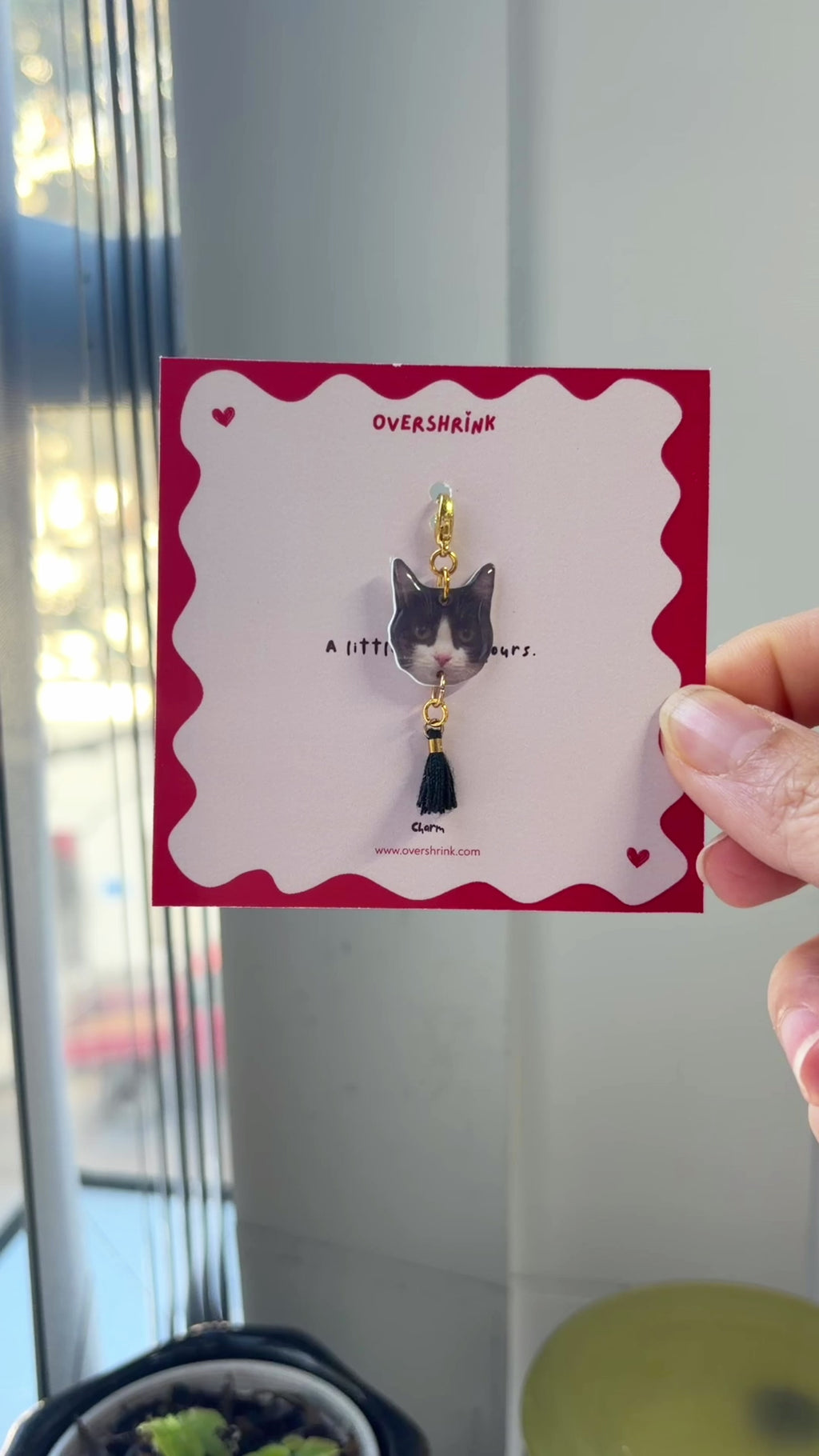 Tuxedo Cat & Black Tassel Charm